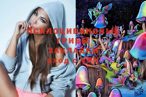 ECSTASY Нягань