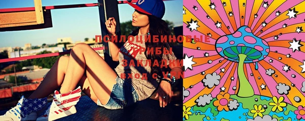 прущие крисы Дегтярск