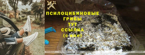 мескалин Няндома