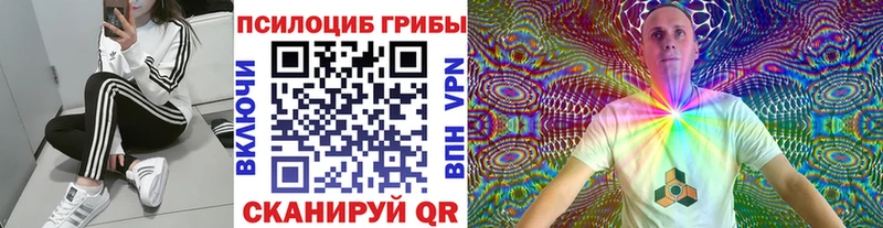 Галлюциногенные грибы MAGIC MUSHROOMS  Волгоград 