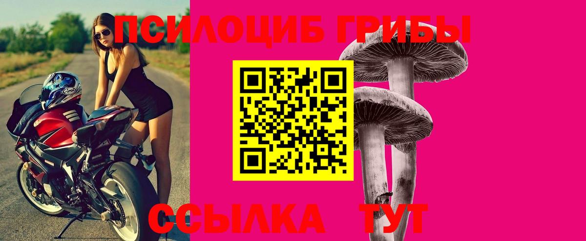 Псилоцибиновые грибы GOLDEN TEACHER  Вход с VPN  Волгоград 
