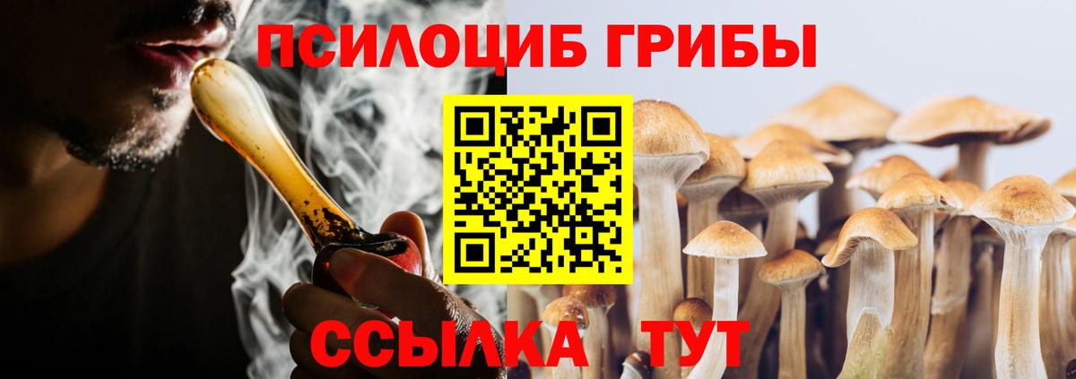 Галлюциногенные грибы MAGIC MUSHROOMS Волгоград