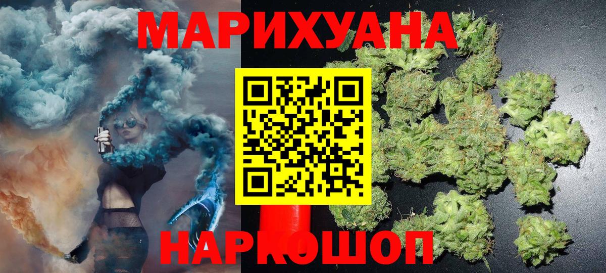 Каннабис сатива Волгоград